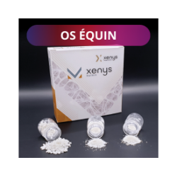 Os Equin - Xenys MATRIX